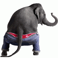 Elephant Dance